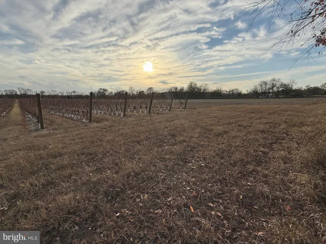 a view of a field with wooden fence