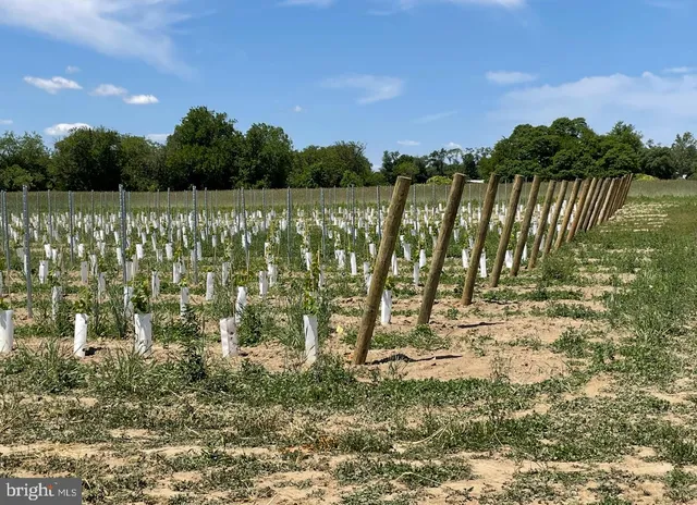 a view of a lake with a yard