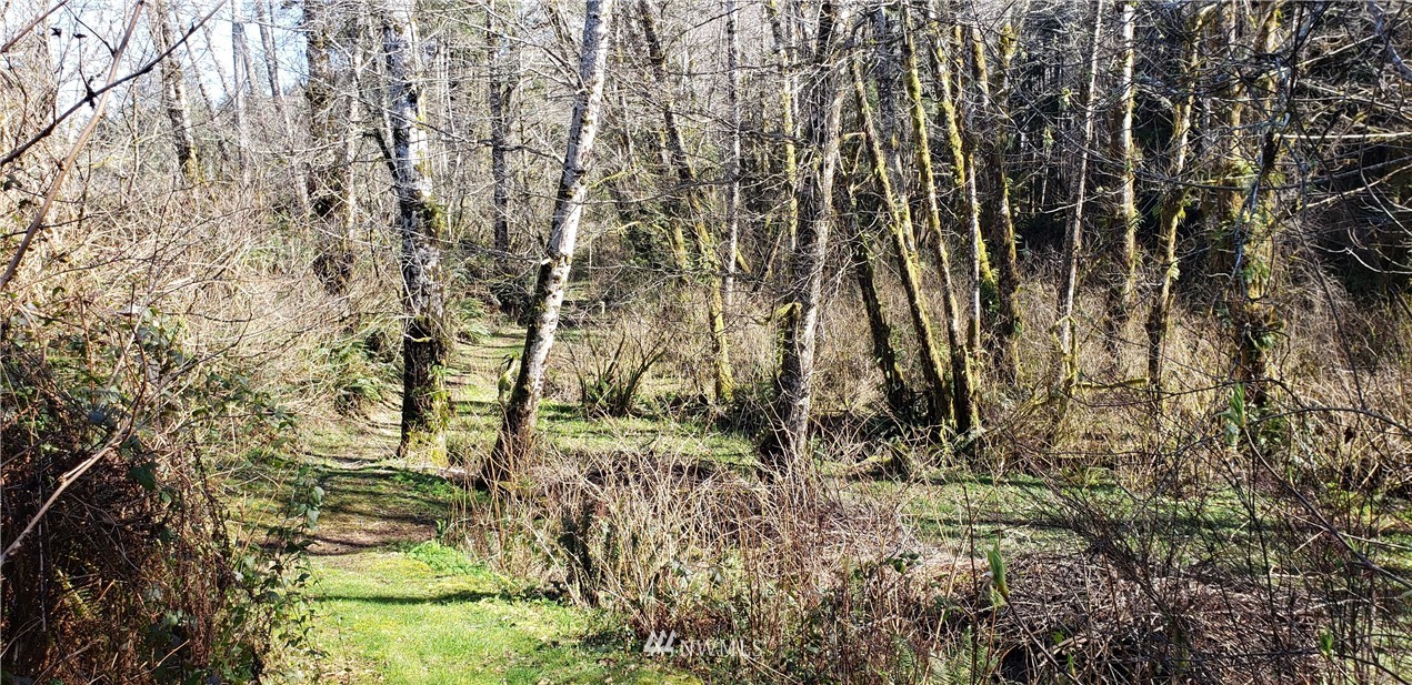 110 Aberdeen Gardens Road Aberdeen, WA 98520 - Photo 6 of 9 a view of a yard