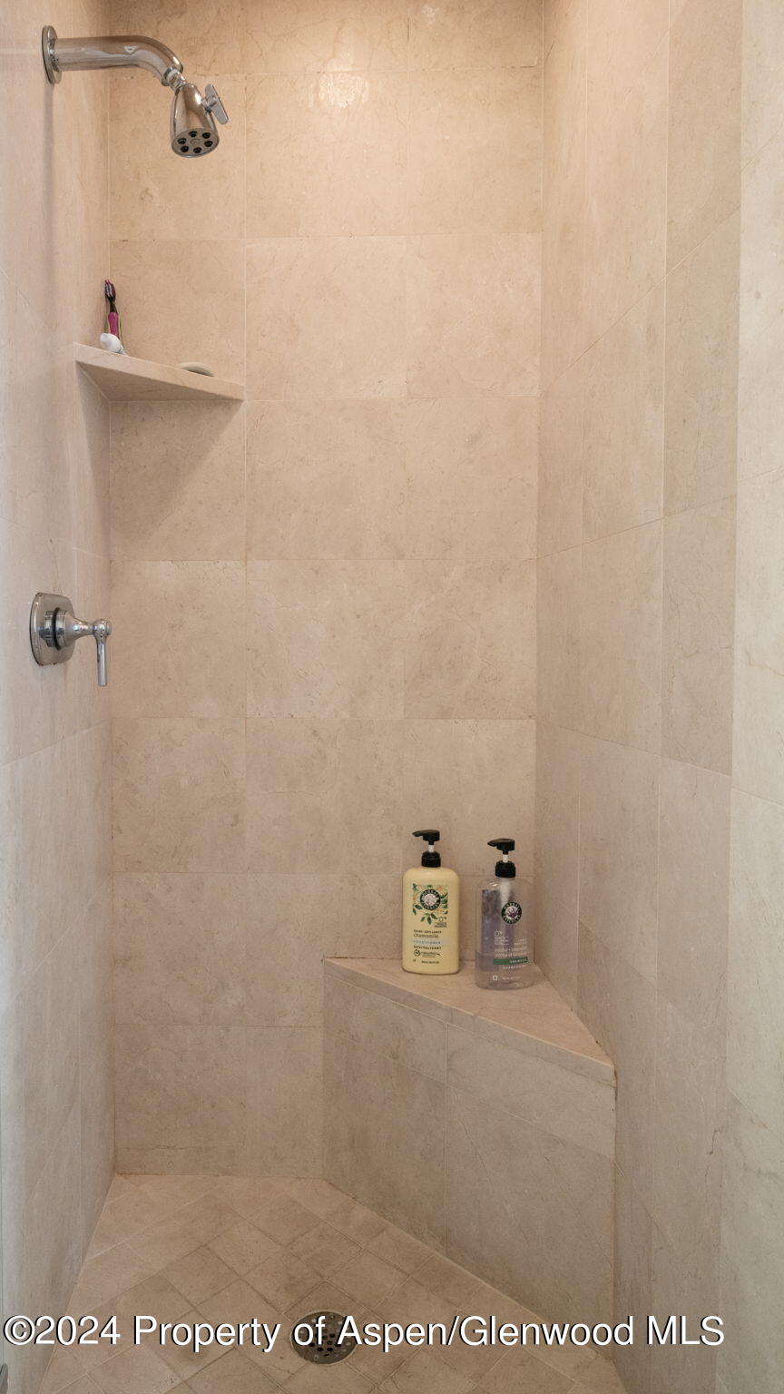 383 Meadow Ranch Road, Unit F4C Snowmass Village, CO 81615 - Photo 16 of 16 a view of a bathroom