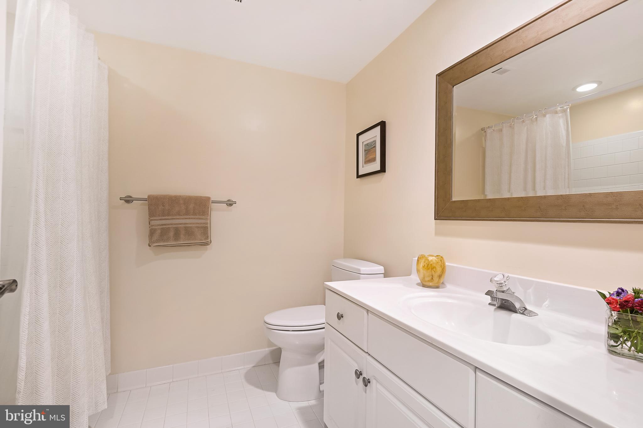 416 Rockfleet Road, Unit 202 Lutherville-Timonium, MD 21093 - Photo 28 of 30 Hall Bathroom