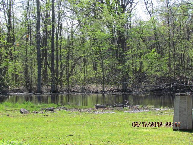 7733 Benton Road Jackson, MI 49201 - Photo 3 of 8 Additional Photo