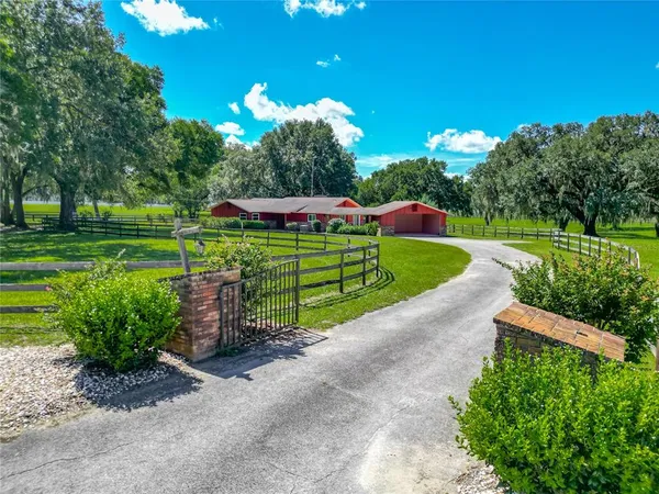 a green field with lots of trees