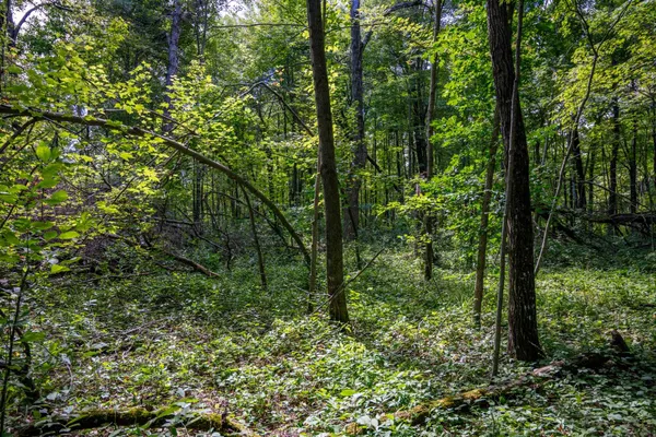 $150,000 | W5878 Wilson Lane, Necedah, WI 54646