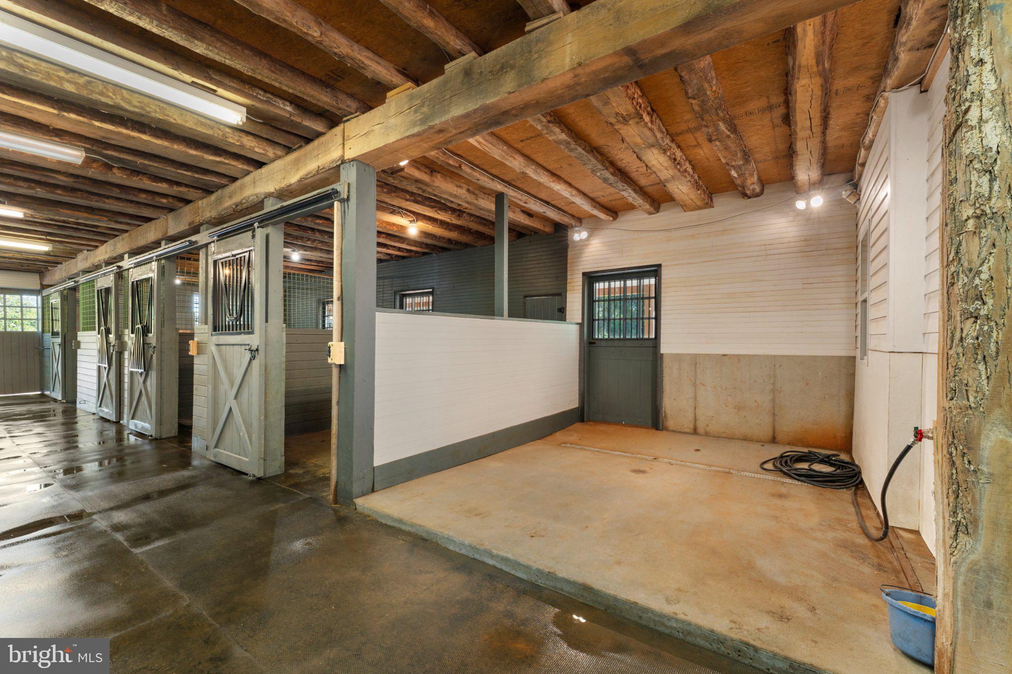 439 Rudasill Road Woodville, VA 22749 - Photo 11 of 55 Wash stall with hot water and heat lamps.