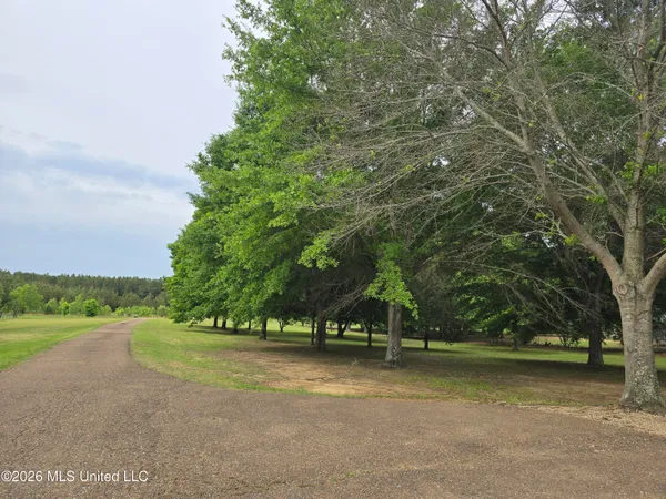 $250,000 | 565 Alred Road, Coldwater, MS 38618