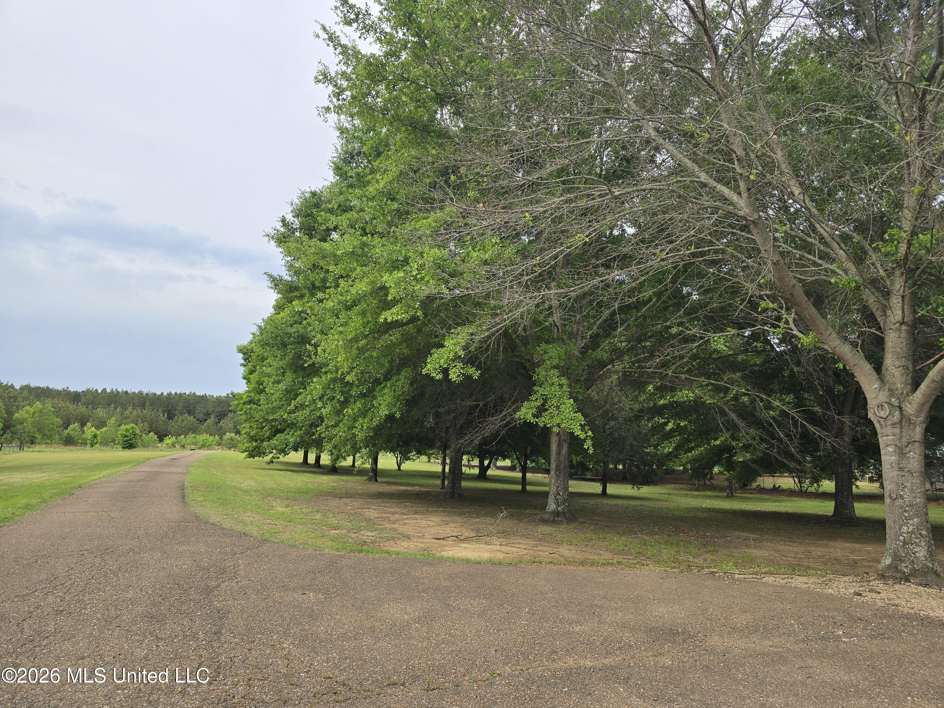 565 Alred Road Coldwater, MS 38618 - Photo 16 of 16 20260501_090538