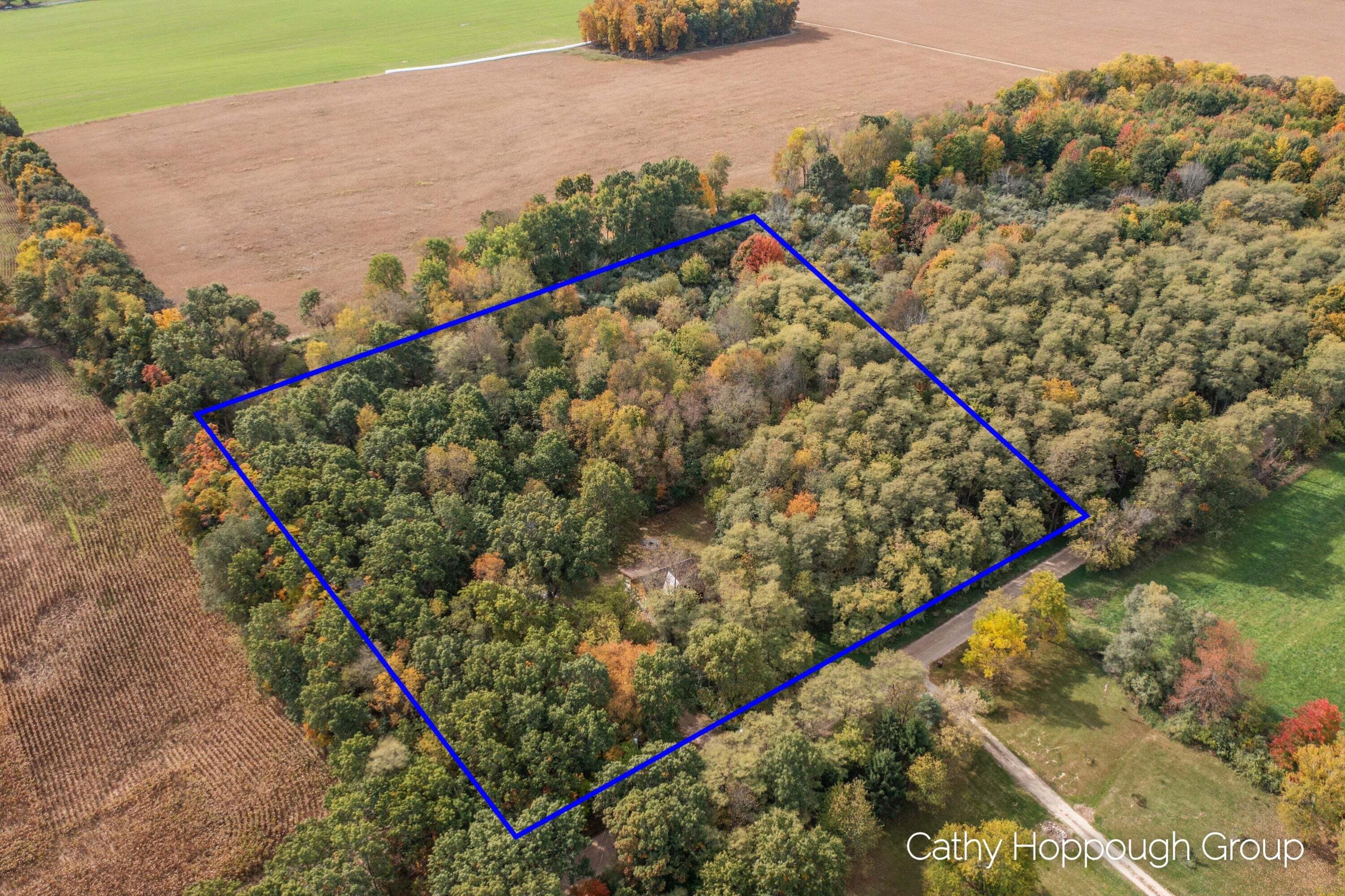 3982 East Bricker Road Fenwick, MI 48834 - Photo 21 of 27 3982 E Bricker_201