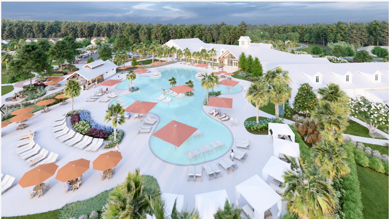 1390 Locals Street Summerville, SC 29485 - Photo 4 of 8 Pool Overview