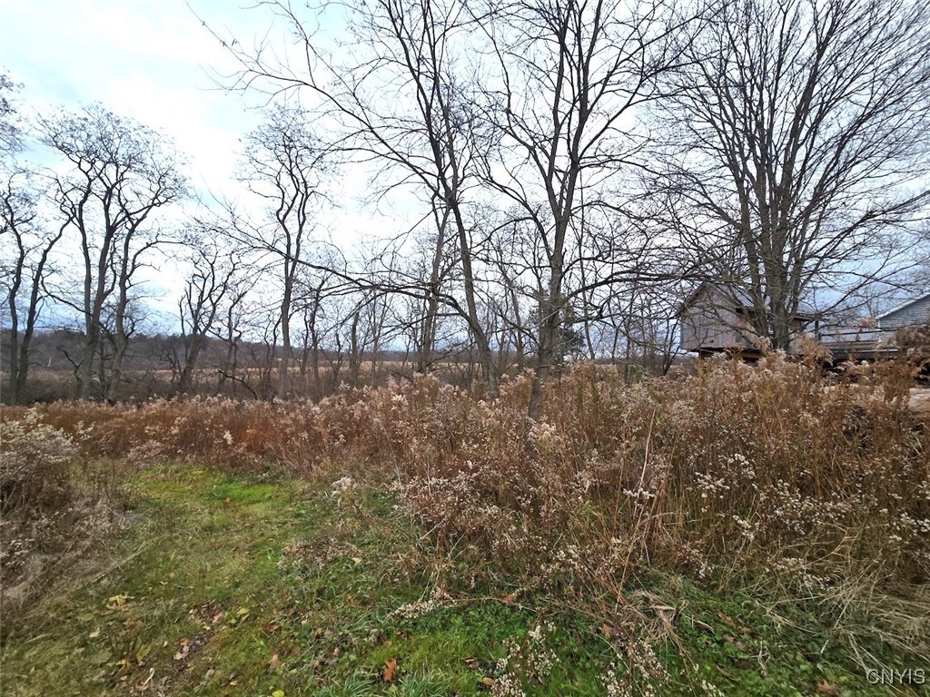9796 Wesley Road Rushford, NY 14744 - Photo 47 of 48