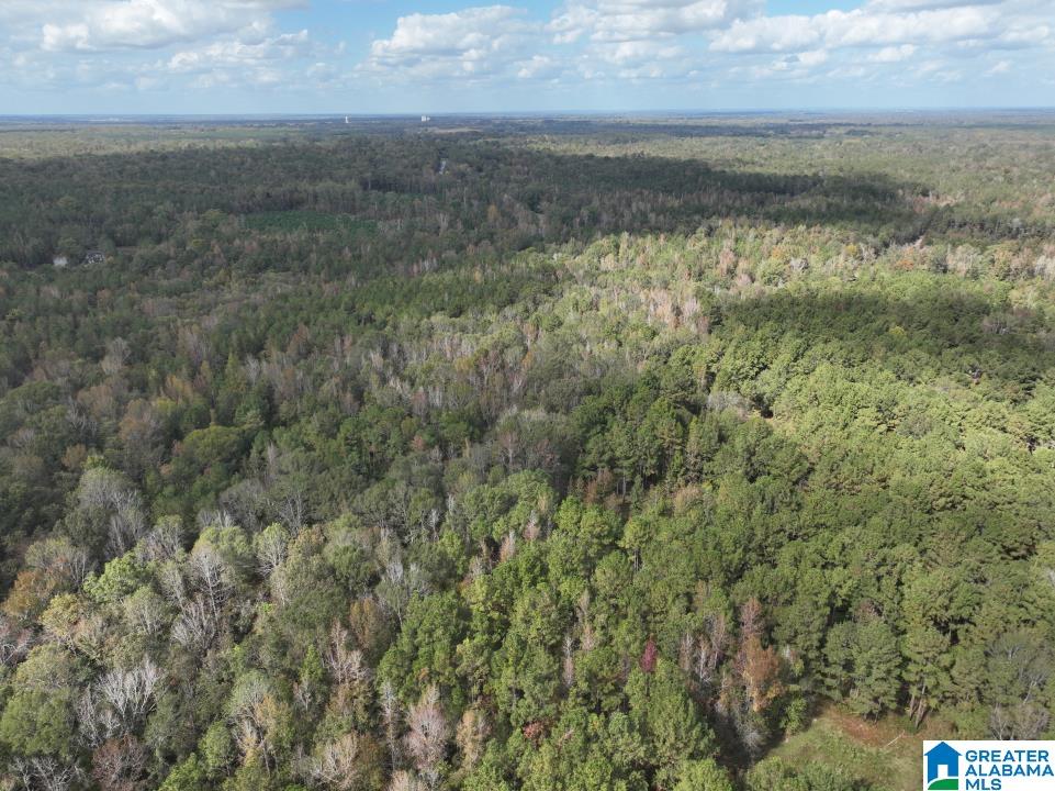 119 Plantation Road, Unit 1 Hope Hull, AL 36043 - Photo 27 of 35