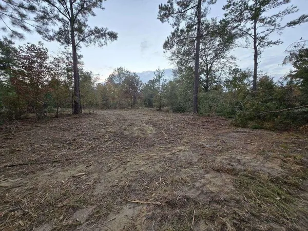 $43,000 | 5 A Oyster Trail, Williston, SC 29853