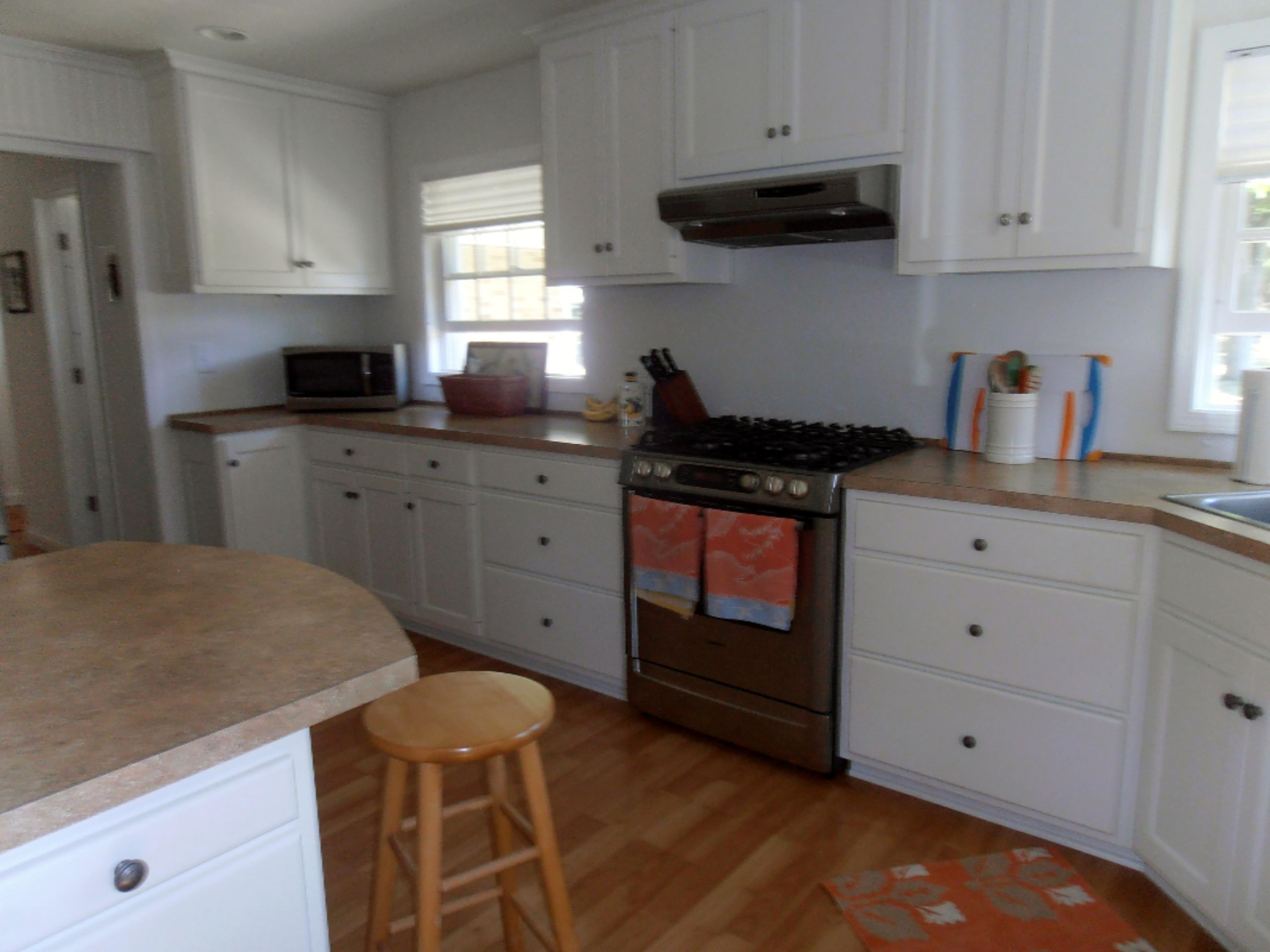 2586 Red Apple Road Manistee, MI 49660 - Photo 11 of 21 P8140308