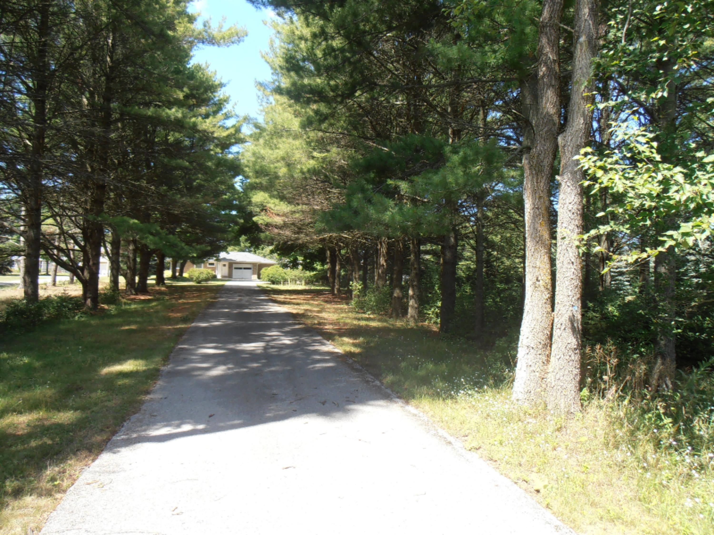 2586 Red Apple Road Manistee, MI 49660 - Photo 3 of 21 P7300282