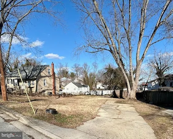 a view of a yard with trees