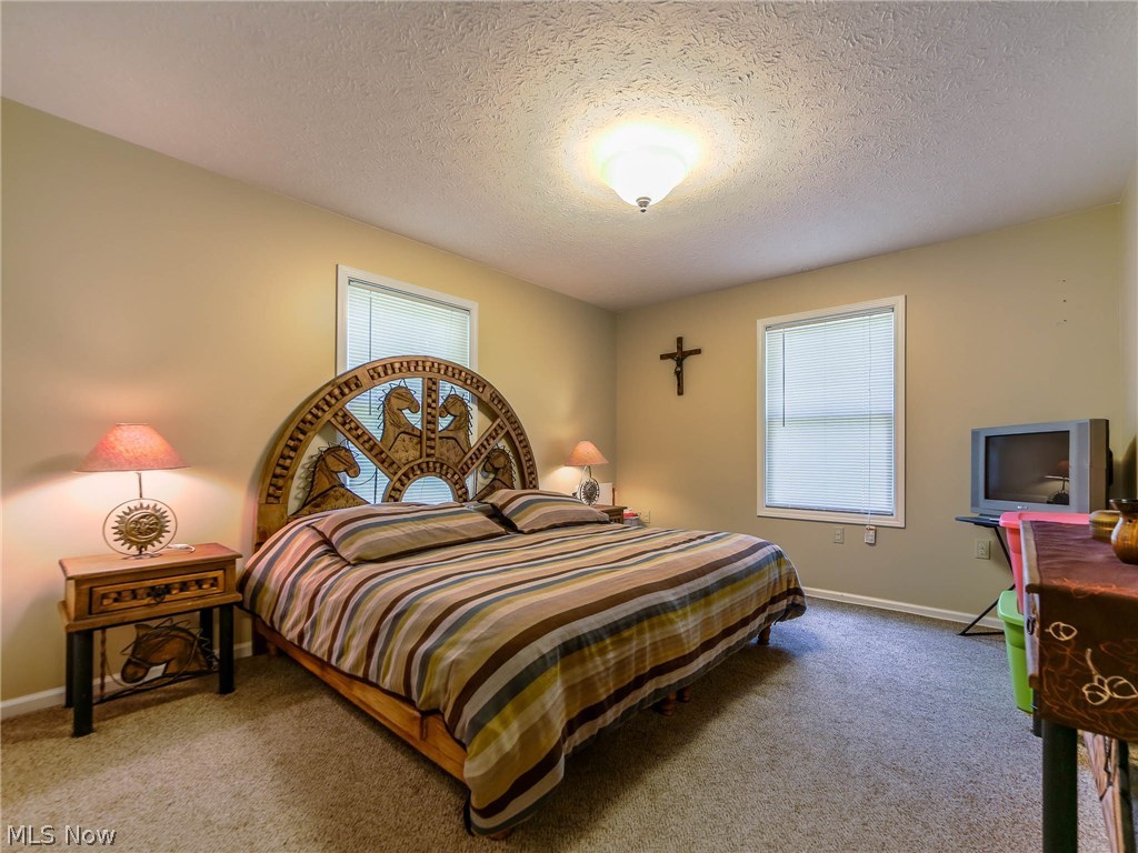 38145 Chestnut Ridge Road Elyria, OH 44035 - Photo 13 of 32 Gallery Image 13
