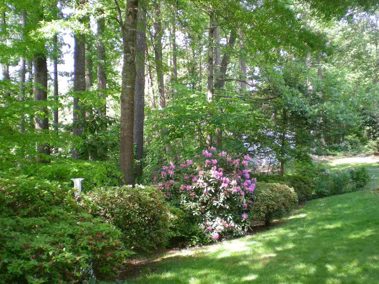1308 Knights Way Raleigh, NC 27615 - Photo 6 of 25 Garden