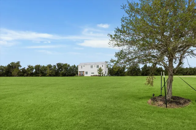 a view of a field with a tree in a field