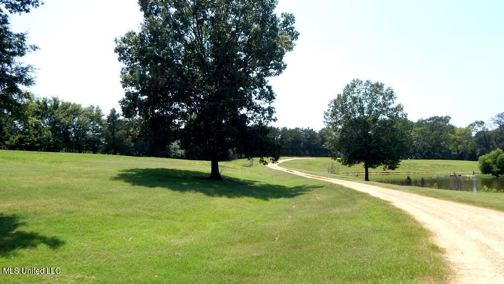755 A Crawford Road Coldwater, MS 38618 - Photo 13 of 49 DSCN3999