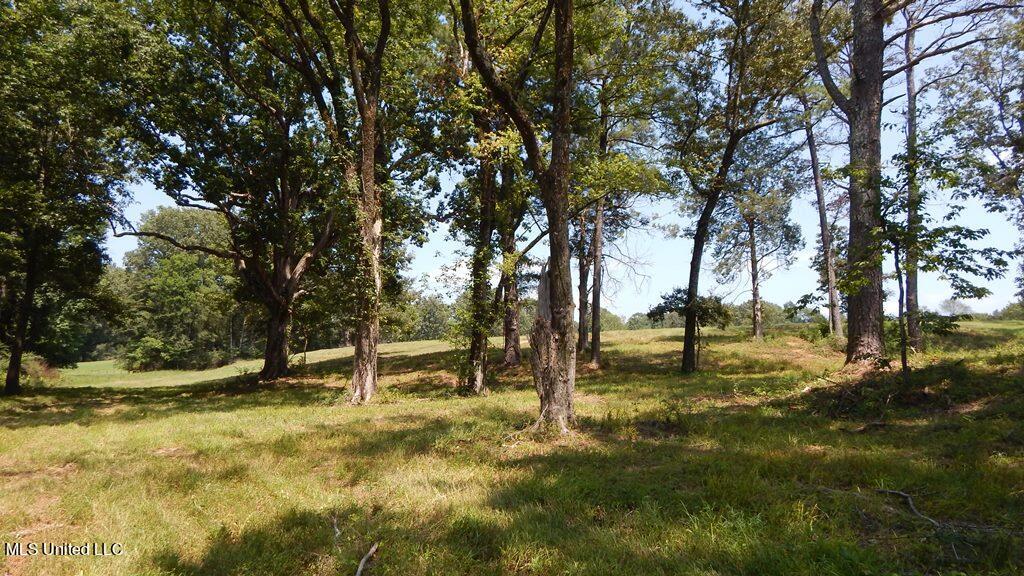 755 A Crawford Road Coldwater, MS 38618 - Photo 44 of 49 DSCN4047