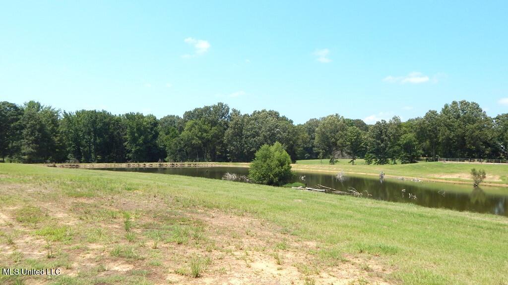 755 A Crawford Road Coldwater, MS 38618 - Photo 48 of 49 DSCN4053
