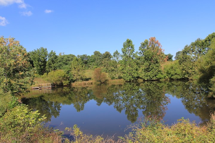 7088 Shamrock Farm Road Crozet, VA 22932 - Photo 17 of 21 Gallery Image 17