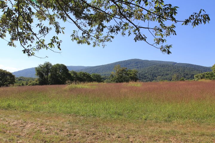 7088 Shamrock Farm Road Crozet, VA 22932 - Photo 3 of 21 Gallery Image 3
