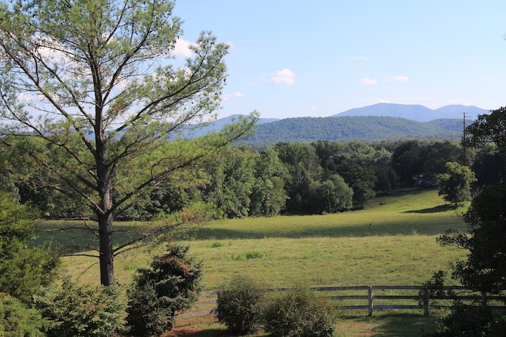 7088 Shamrock Farm Road Crozet, VA 22932 - Photo 4 of 21 Gallery Image 4