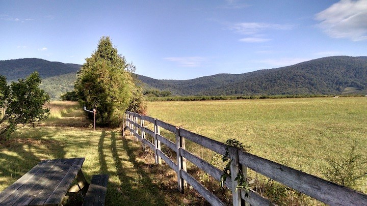 7088 Shamrock Farm Road Crozet, VA 22932 - Photo 5 of 21 Gallery Image 5