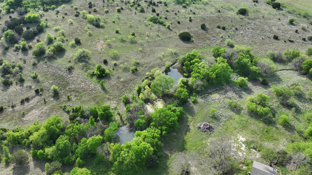 1 Hcr 1136 Rio Vista Rio Vista, TX 76093 - Photo 5 of 7 a view of a plant in a garden
