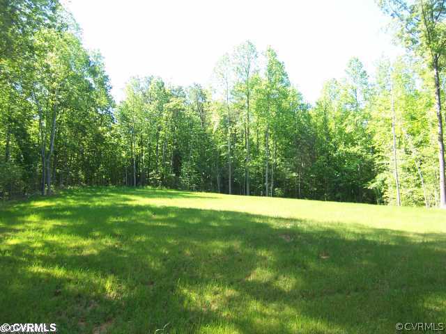 14040 Redhills Road Beaverdam, VA 23015 - Photo 1 of 1 a view of grassy field with trees in the background