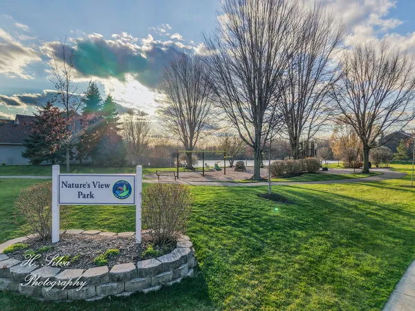 a view of a park that has large trees
