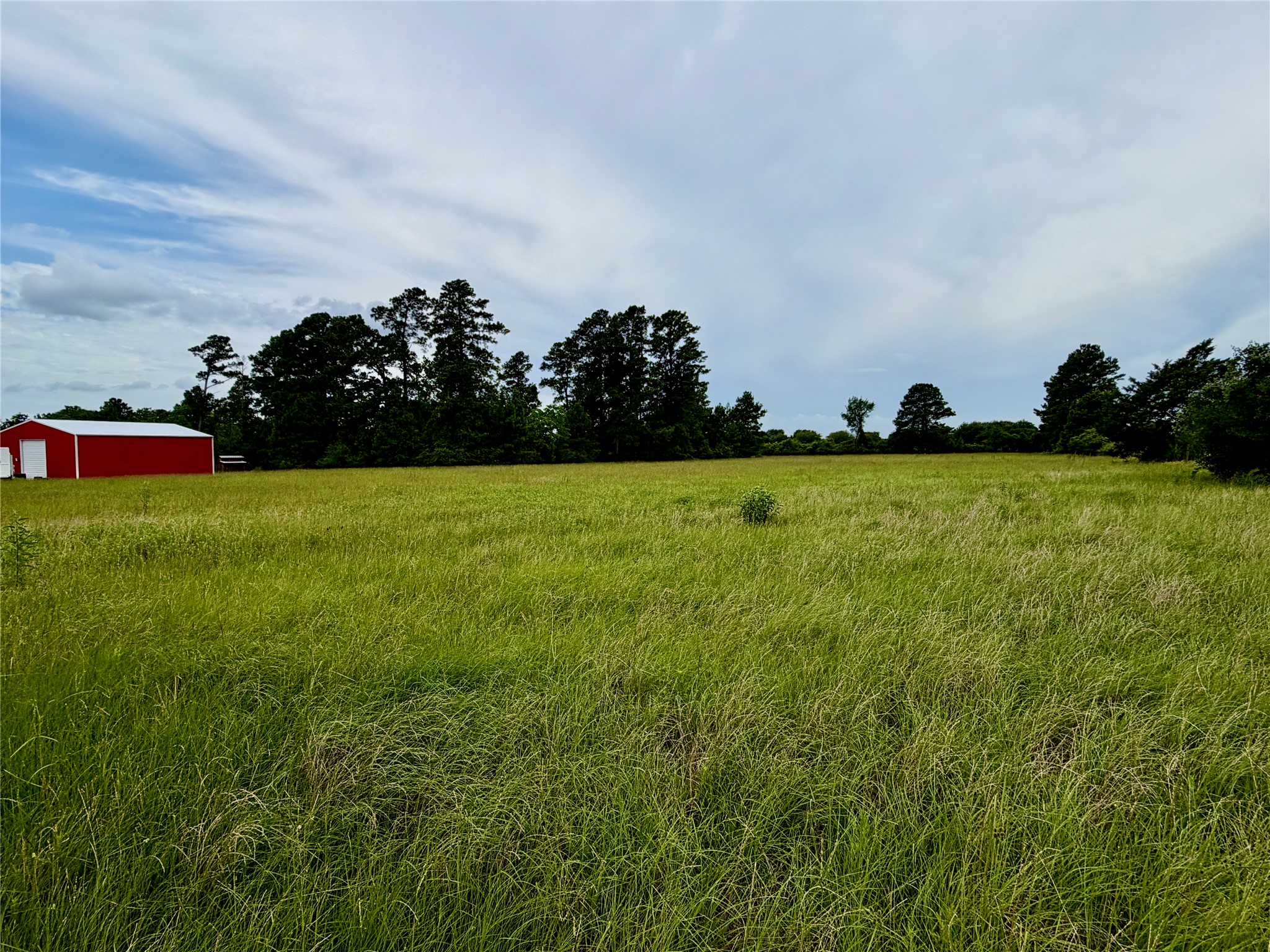 26534 Mitchell Road Hempstead, TX 77445 - Photo 6 of 11