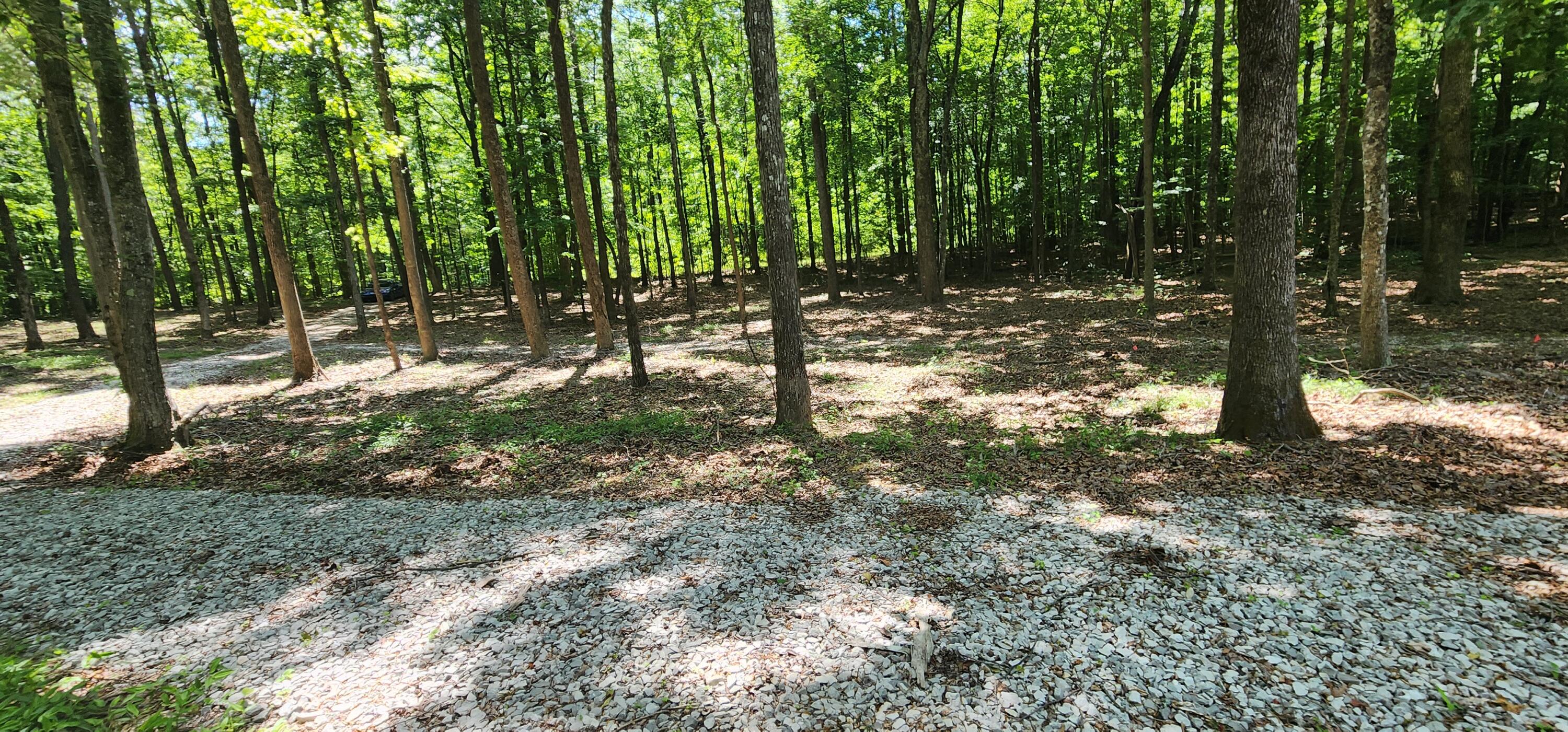 0 Roth Point Road, Unit 5 Altamont, TN 37301 - Photo 45 of 53 1000052081