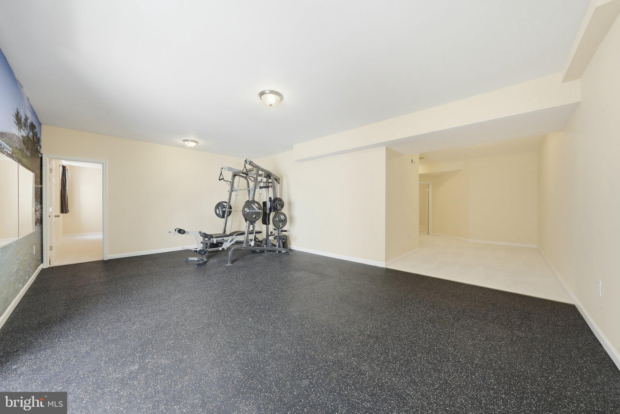 3679 Expedition Drive Triangle, VA 22172 - Photo 49 of 65 Spacious home gym with modern equipment.