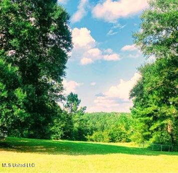 250 Redfish Road Poplarville, MS 39470 - Photo 2 of 9 2025-08-11 12-00 page 1 (1)