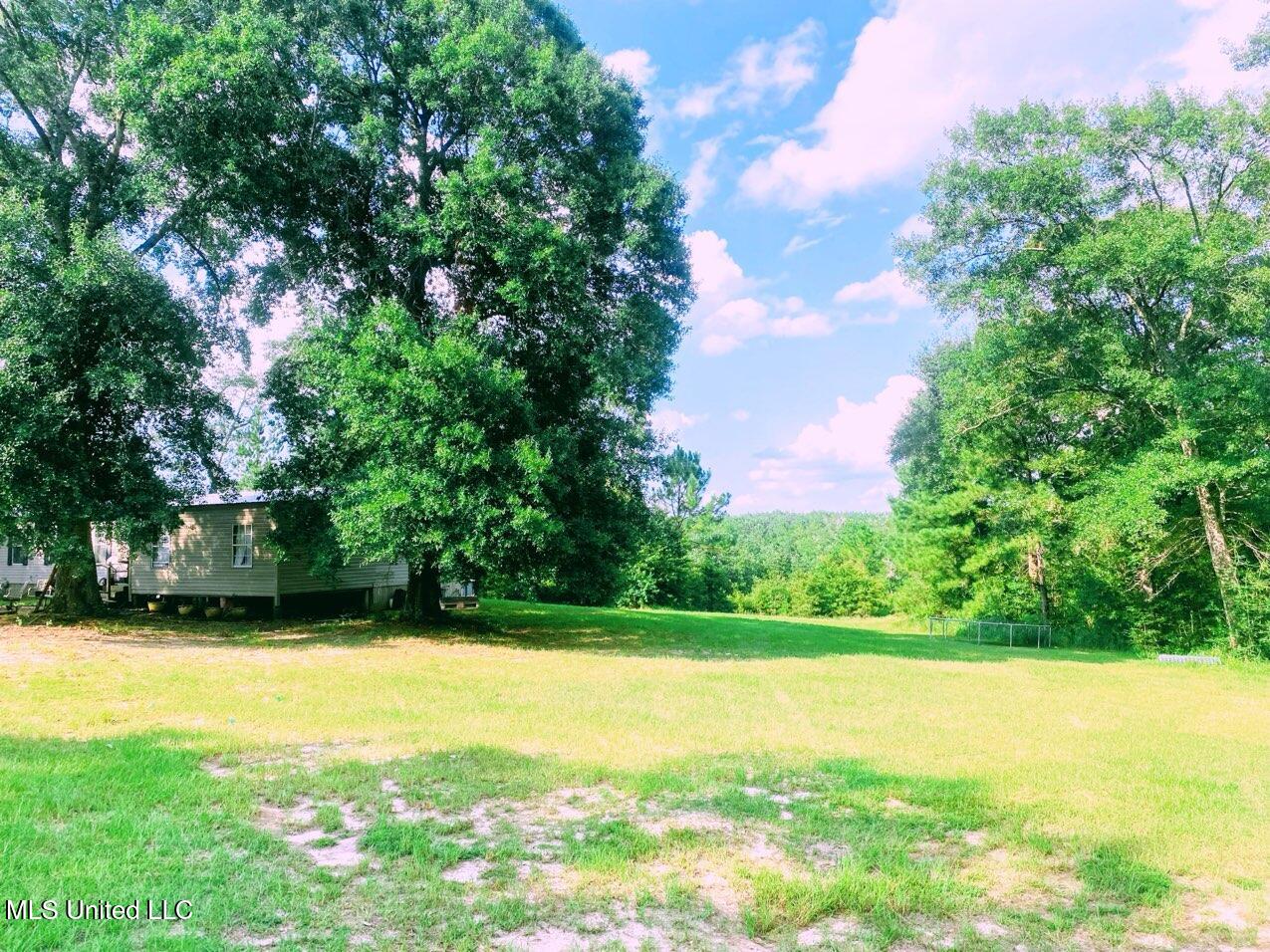 250 Redfish Road Poplarville, MS 39470 - Photo 4 of 9 2025-08-11 12-00 page 5 (1)