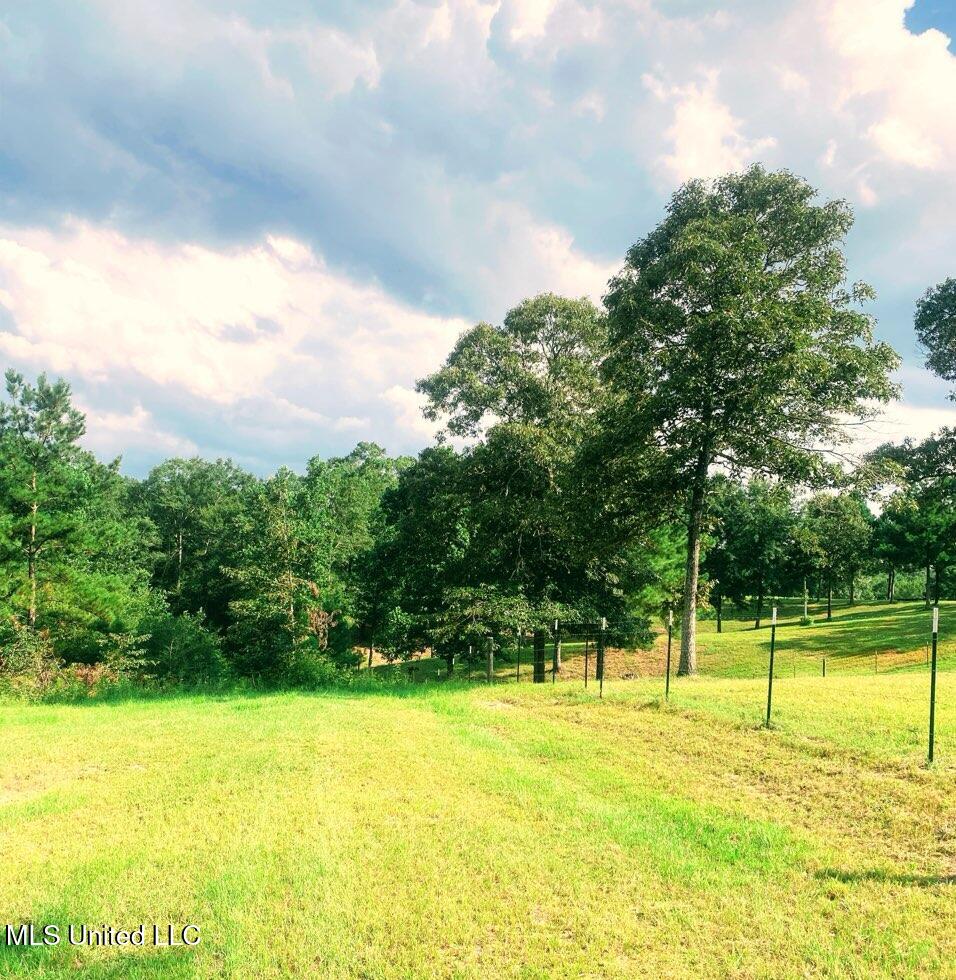 250 Redfish Road Poplarville, MS 39470 - Photo 5 of 9 2025-08-11 12-00 page 6 (1)