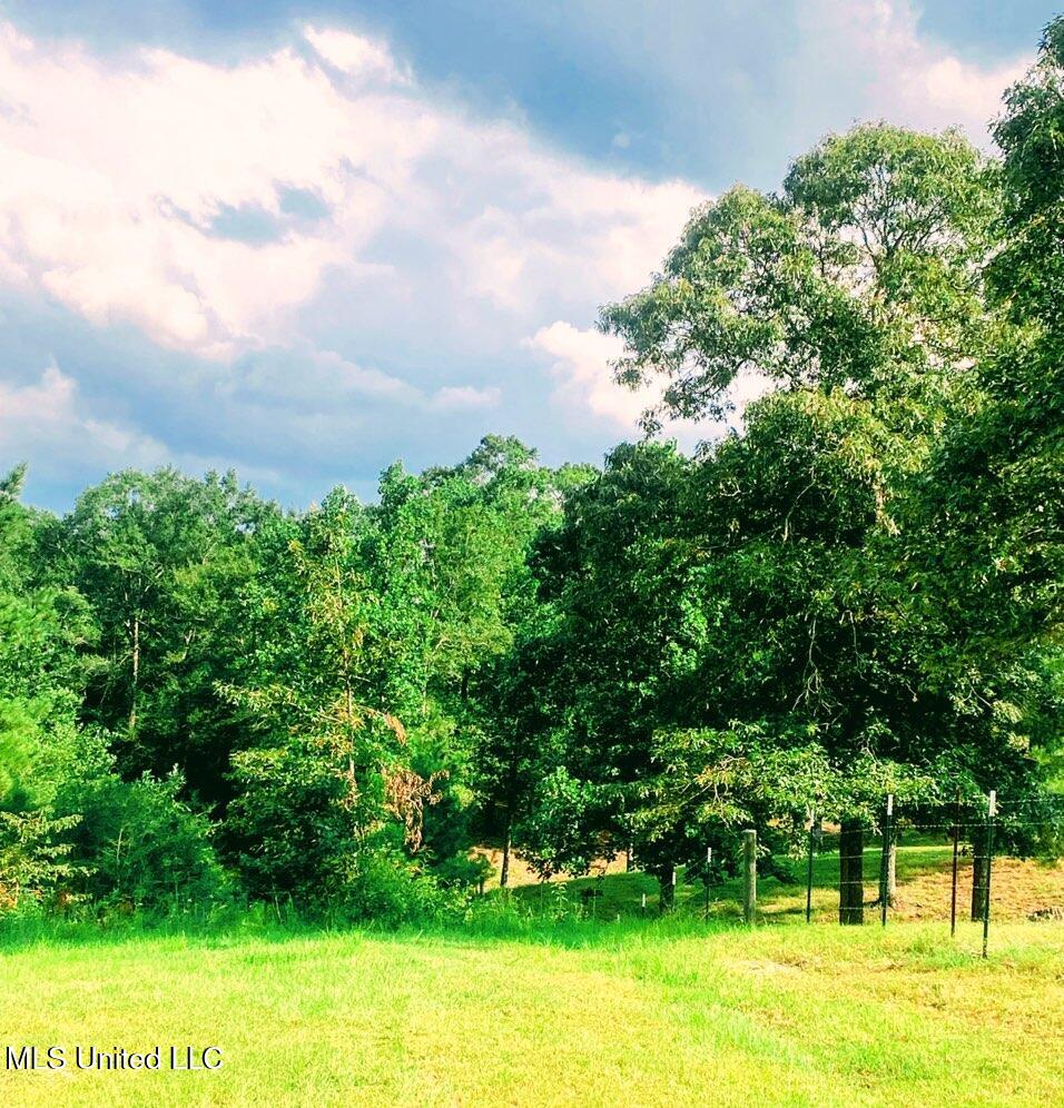 250 Redfish Road Poplarville, MS 39470 - Photo 6 of 9 2025-08-11 12-00 page 7 (1)