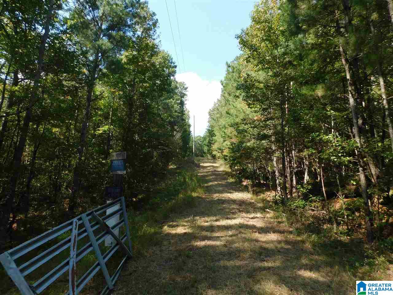 1005 Sims Road Oneonta, AL 35121 - Photo 2 of 9