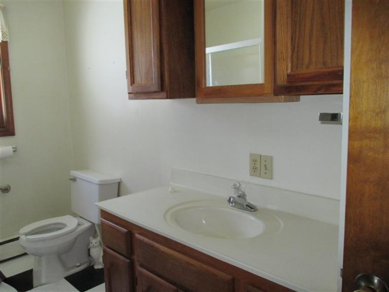 1590 Hayden Road Muir, MI 48860 - Photo 16 of 22 Additional Photo