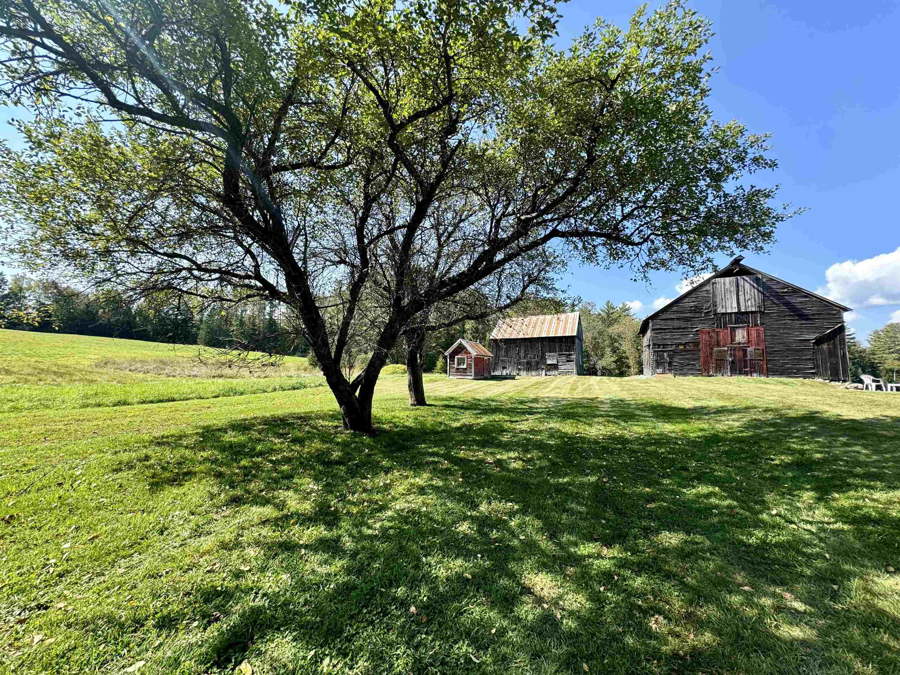 330 Turkey Hill Road Corinth, VT 05039 - Photo 15 of 15