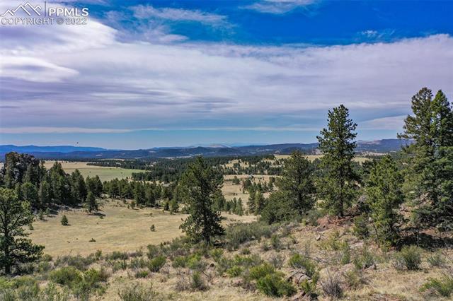 339 Chipper Road Guffey, CO 80820 - Photo 33 of 34 Looking south; look how private it is out here.