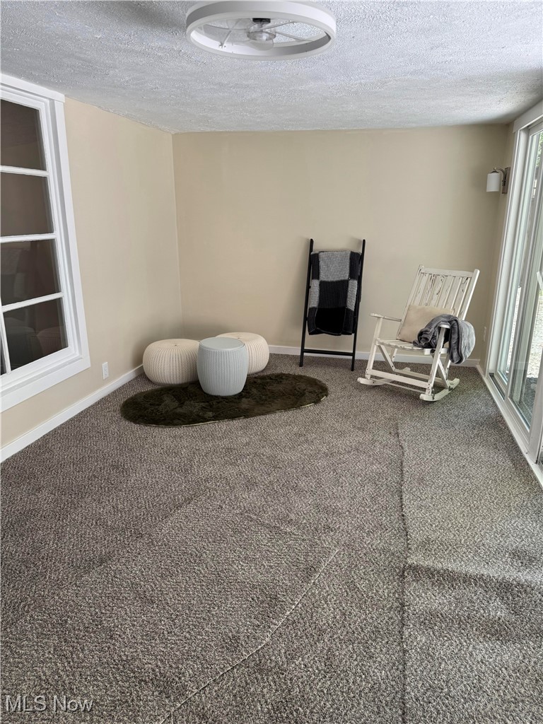6358 Southgrove Road Mentor, OH 44060 - Photo 19 of 25 4 Season Rm Freshly installed carpet stunning views with tons of natural lighting
