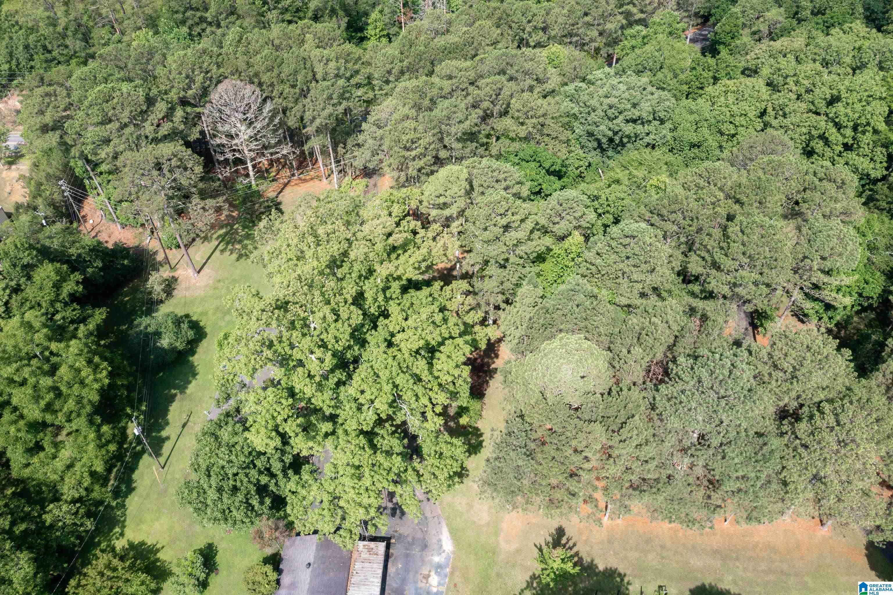 1230 Markeeta Spur Road Moody, AL 35004 - Photo 43 of 46
