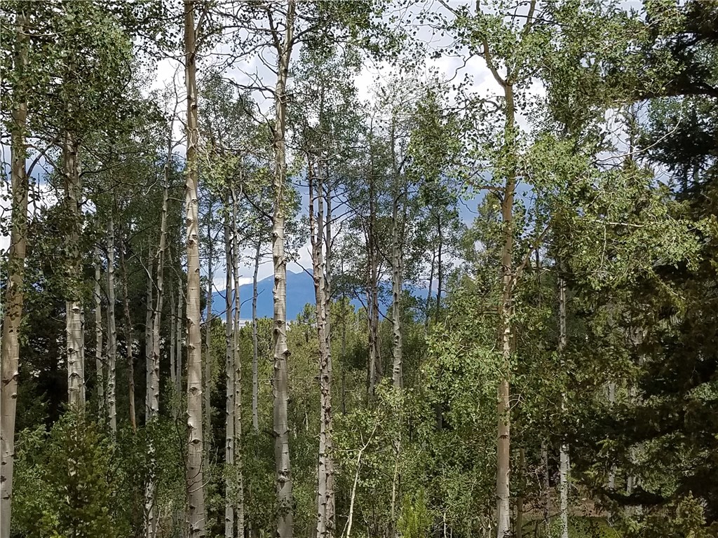 986 Osprey Road Como, CO 80432 - Photo 4 of 12 Gallery Image 4