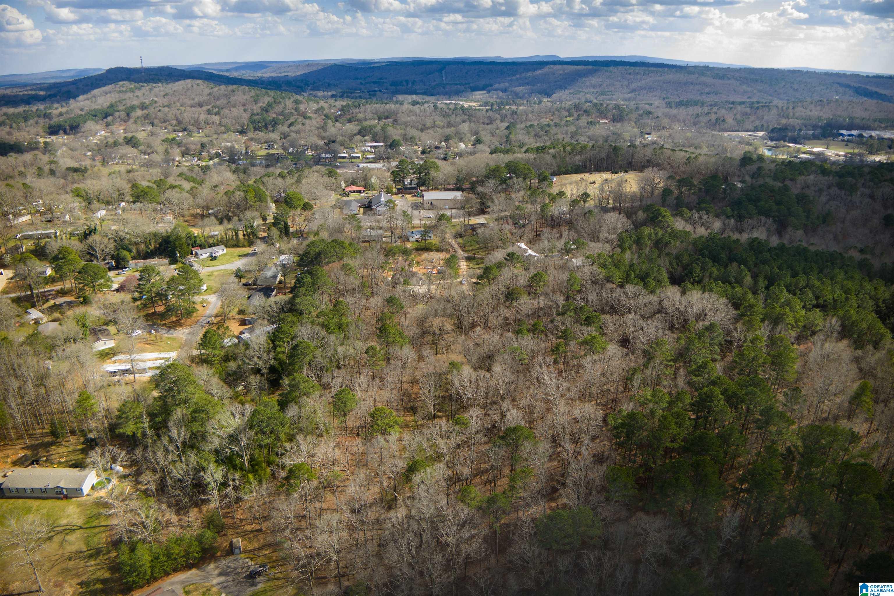 0 Norman Street Springville, AL 35146 - Photo 8 of 15