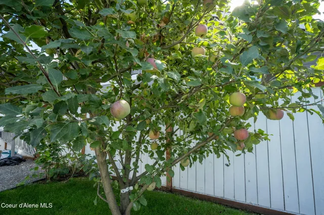 $495,000 | 9941 Maddie Lane, Unit 1, Hayden, ID 83835