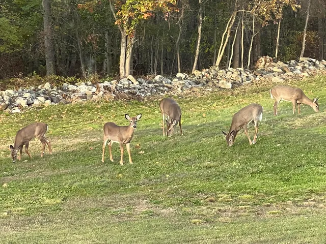 $1,195,000 | 507 Mt Pleasant Street, Rockport, ME 04856