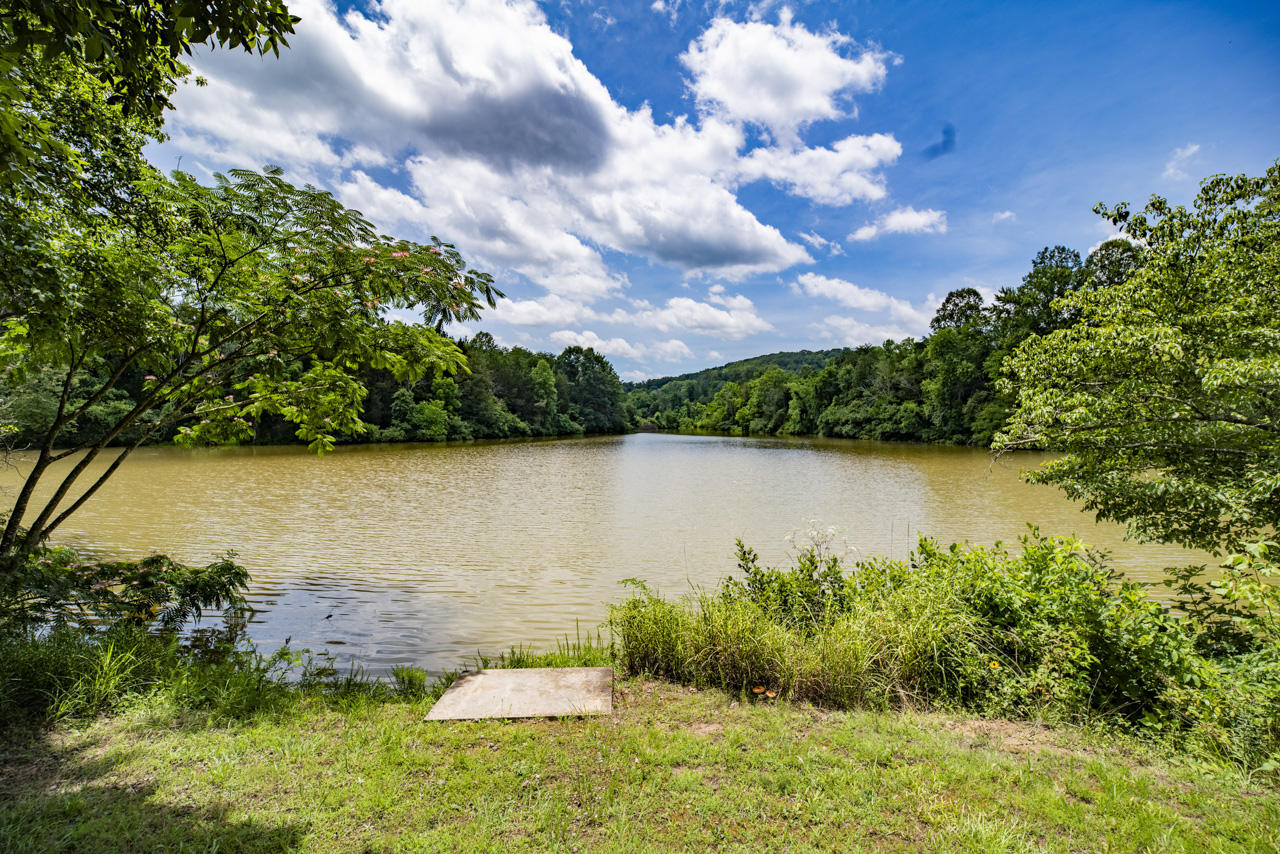 911 Ridgeview Drive Clinton, TN 37716 - Photo 7 of 23 WEB_IMGP3101